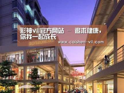 案例展示一