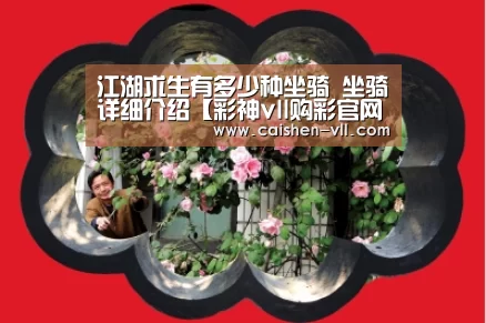 彩神vll购彩官网