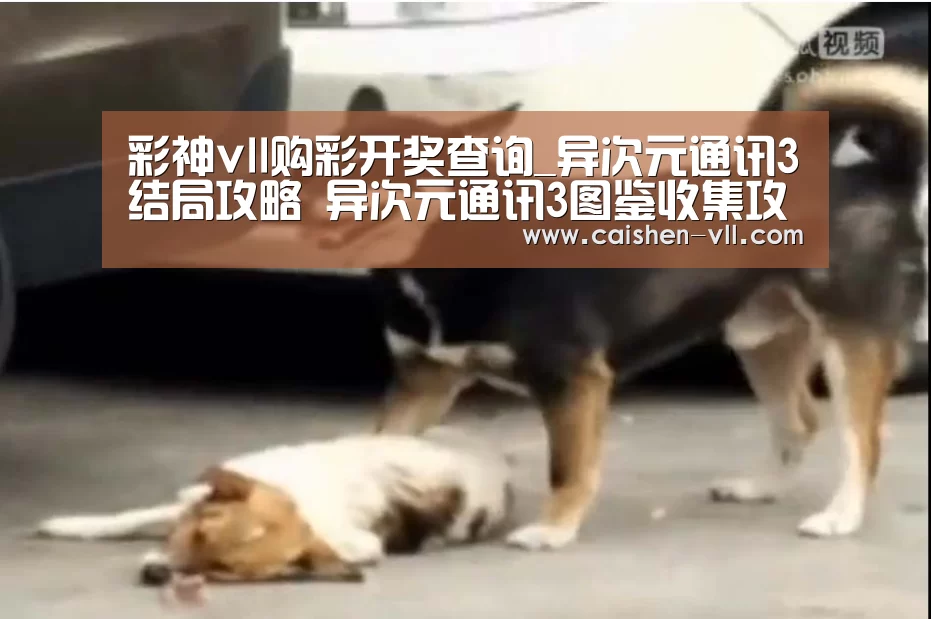 彩神vll购彩官网