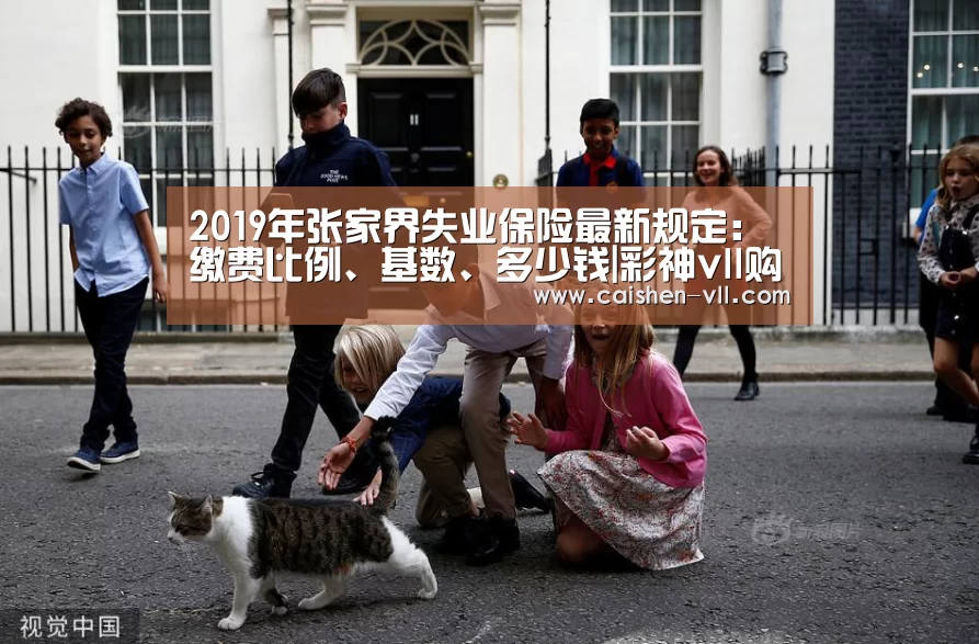 彩神vll购彩开奖查询