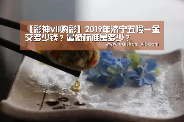 【彩神vll购彩】2019年济宁五险一金交多少钱?最低标准是多少?(图2) 彩神vll购彩
