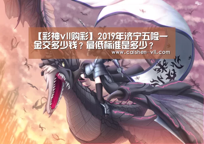 【彩神vll购彩】2019年济宁五险一金交多少钱?最低标准是多少?(图4) 彩神vll购彩官网