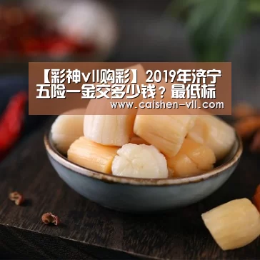 【彩神vll购彩】2019年济宁五险一金交多少钱?最低标准是多少?(图3) 彩神vll购彩官网