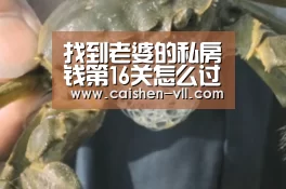 找到老婆的私房钱第16关怎么过 第16关通关攻略|彩神vll购彩走势分析(图2) 彩神vll购彩开奖查询