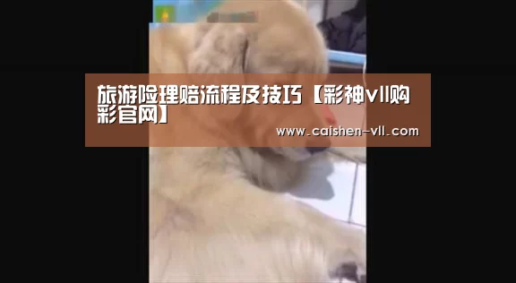 旅游险理赔流程及技巧【彩神vll购彩官网】(图1) 彩神vll购彩走势分析